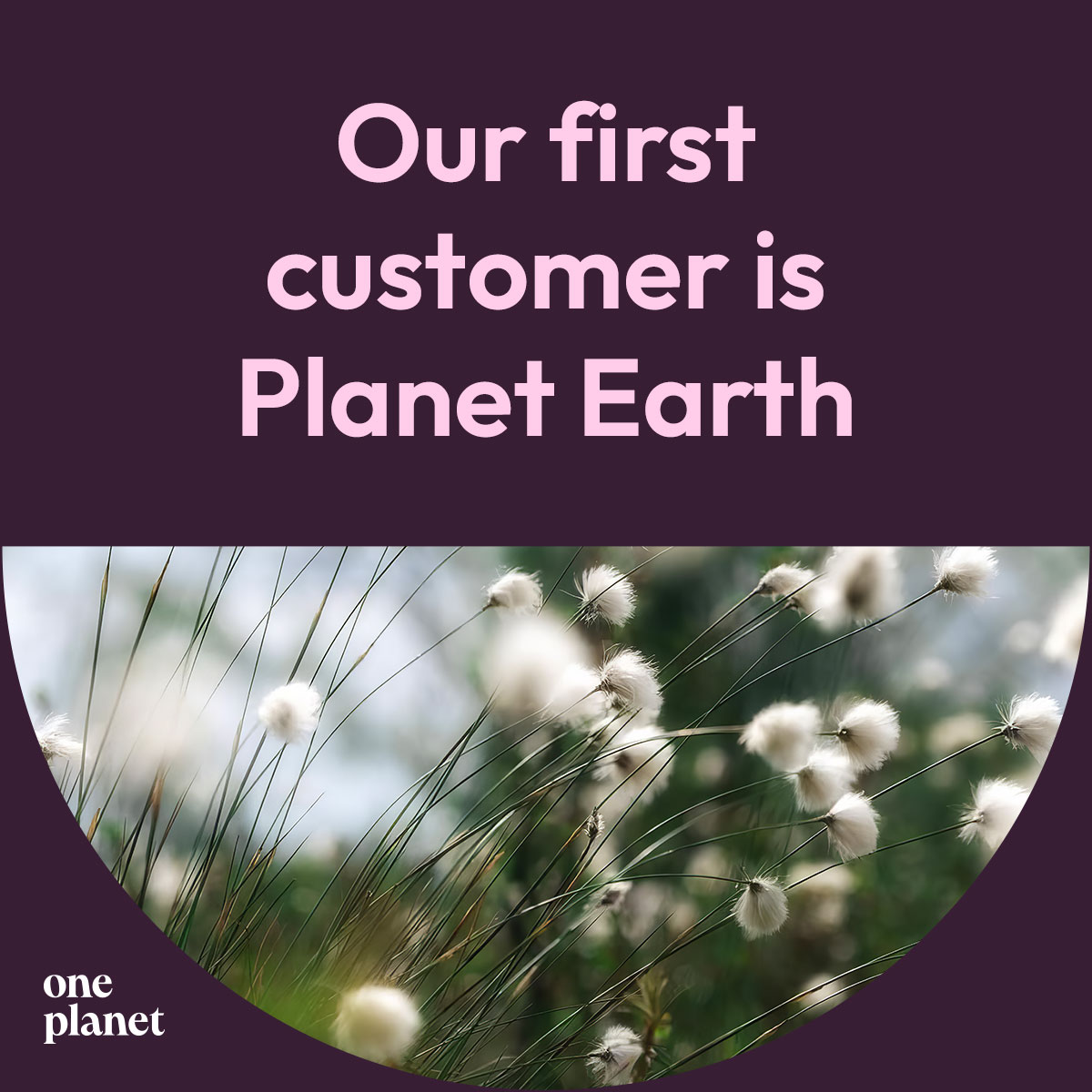 one_planet_1200x1200_11